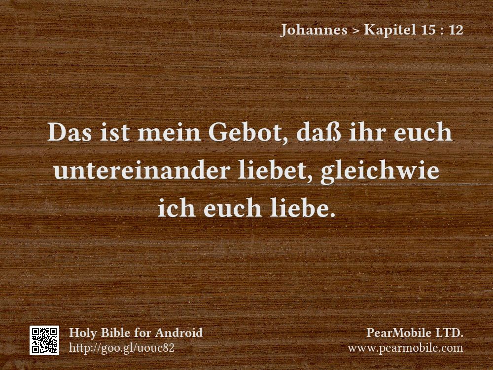 Johannes, Kapitel 15:12